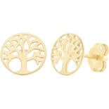Ladies 9Ct Yellow Gold Tree Of Life Earrings