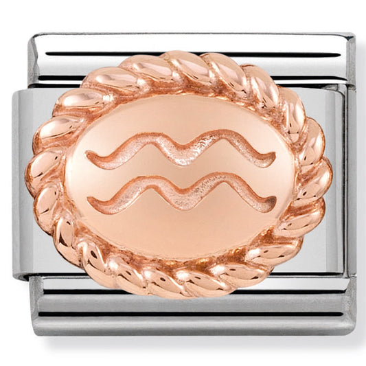 Nomination stainless steel and 9ct rose gold charm Aquarius