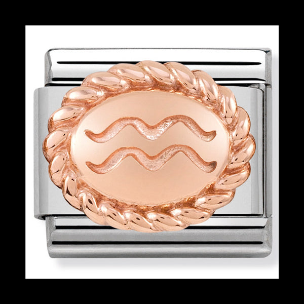 Nomination stainless steel and 9ct rose gold charm Aquarius