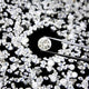 Surprising facts about diamonds