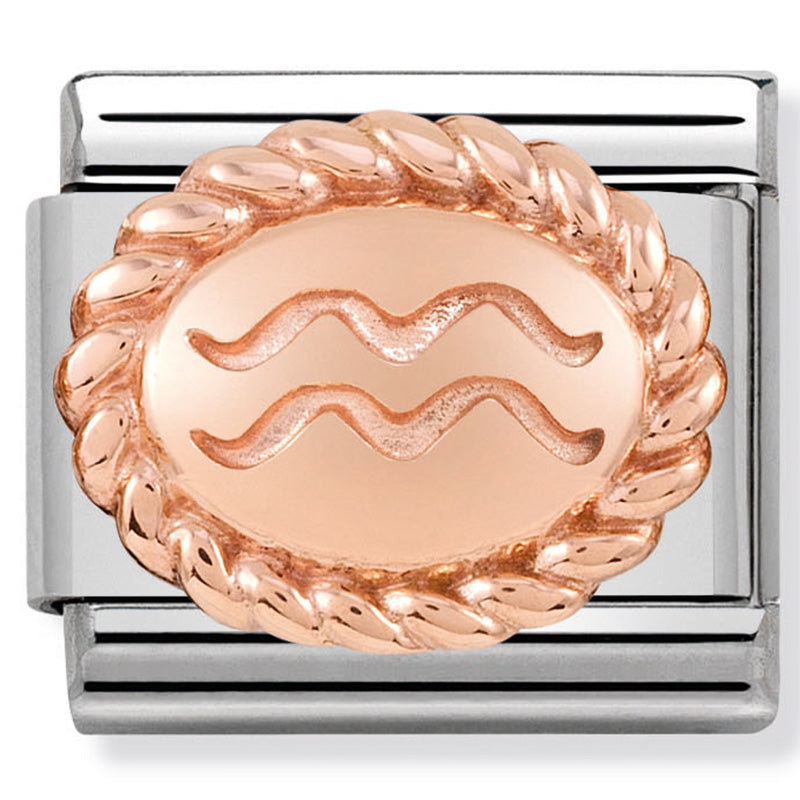 Nomination stainless steel and 9ct rose gold charm Aquarius