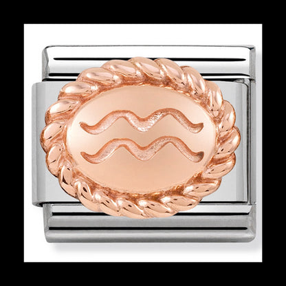 Nomination stainless steel and 9ct rose gold charm Aquarius