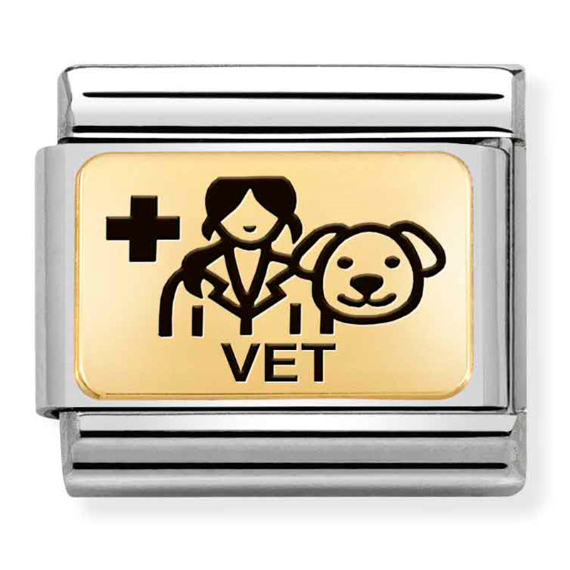 NOM-030166 18 COMP Classic PLATES (IC) in steel and 18k gold Vet